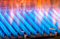 Raylees gas fired boilers